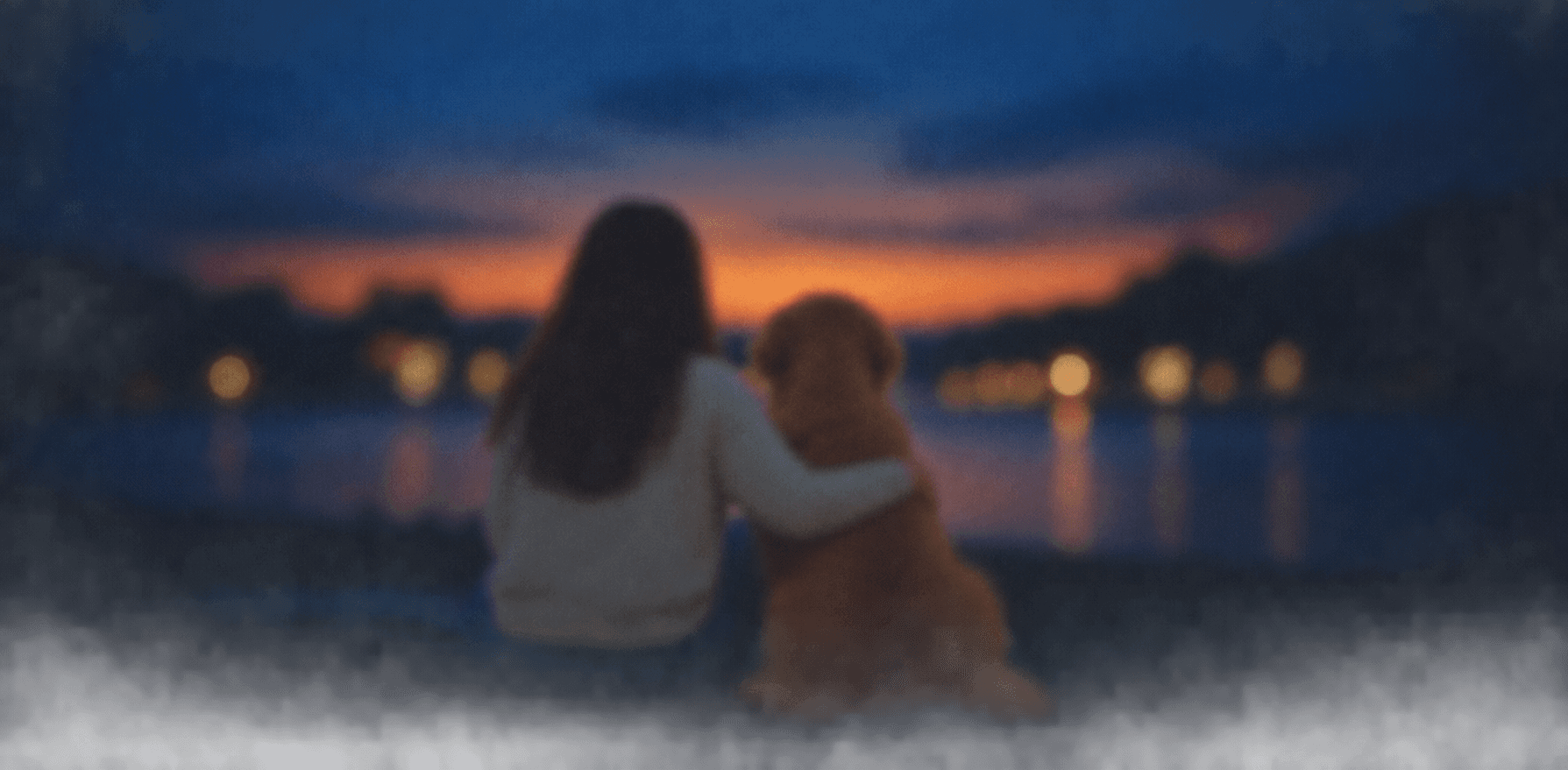 A pet parent sitting with her dog, watching the sunset together