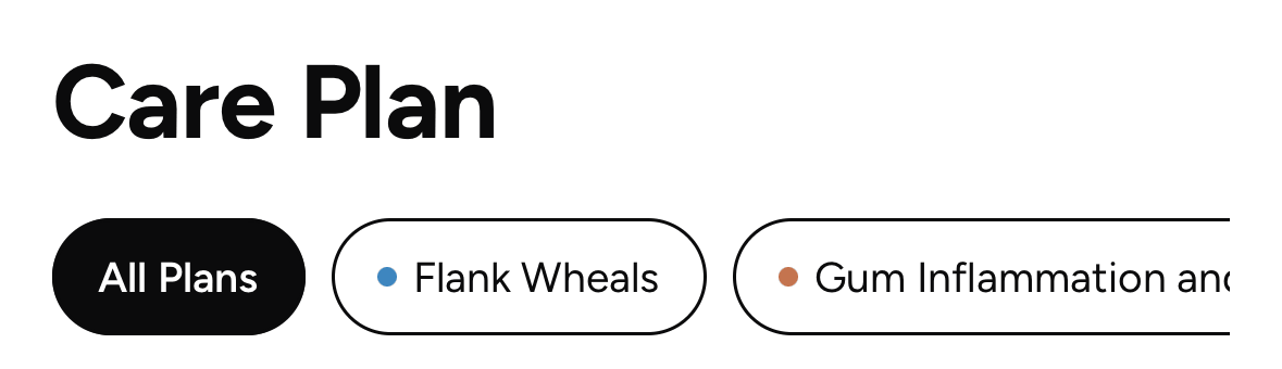Care plan filters