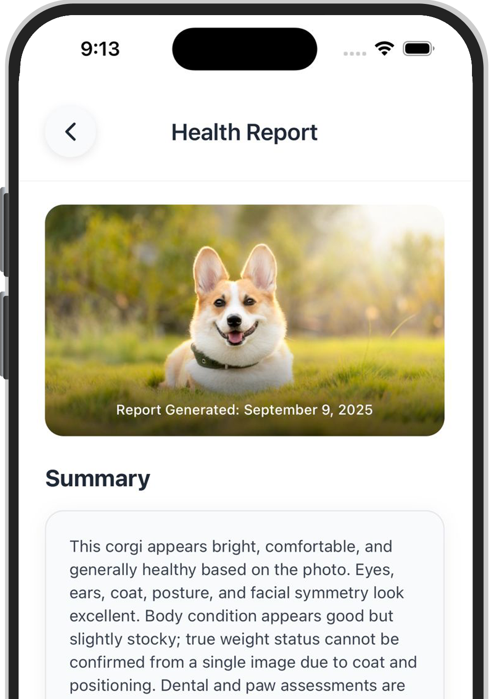 Smart phone with the ScanMyPet dashboard on the screen